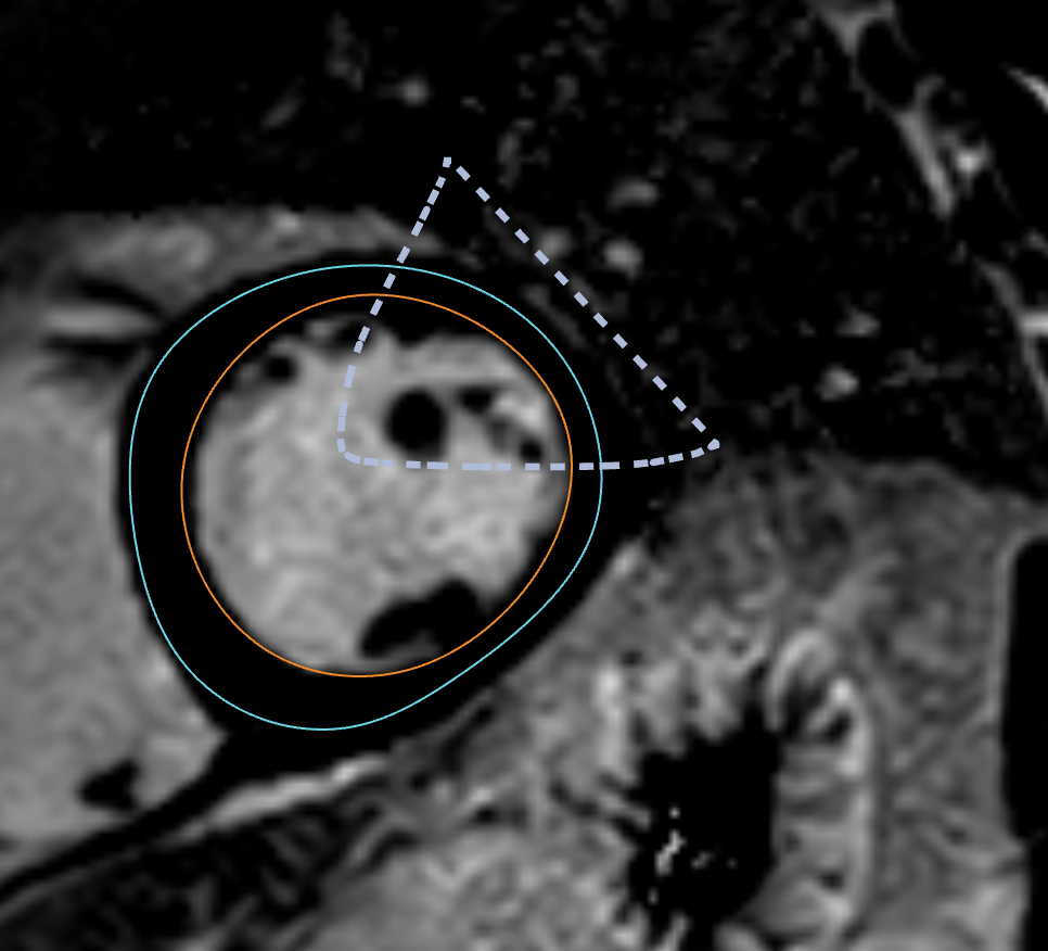 image-20250110152811867