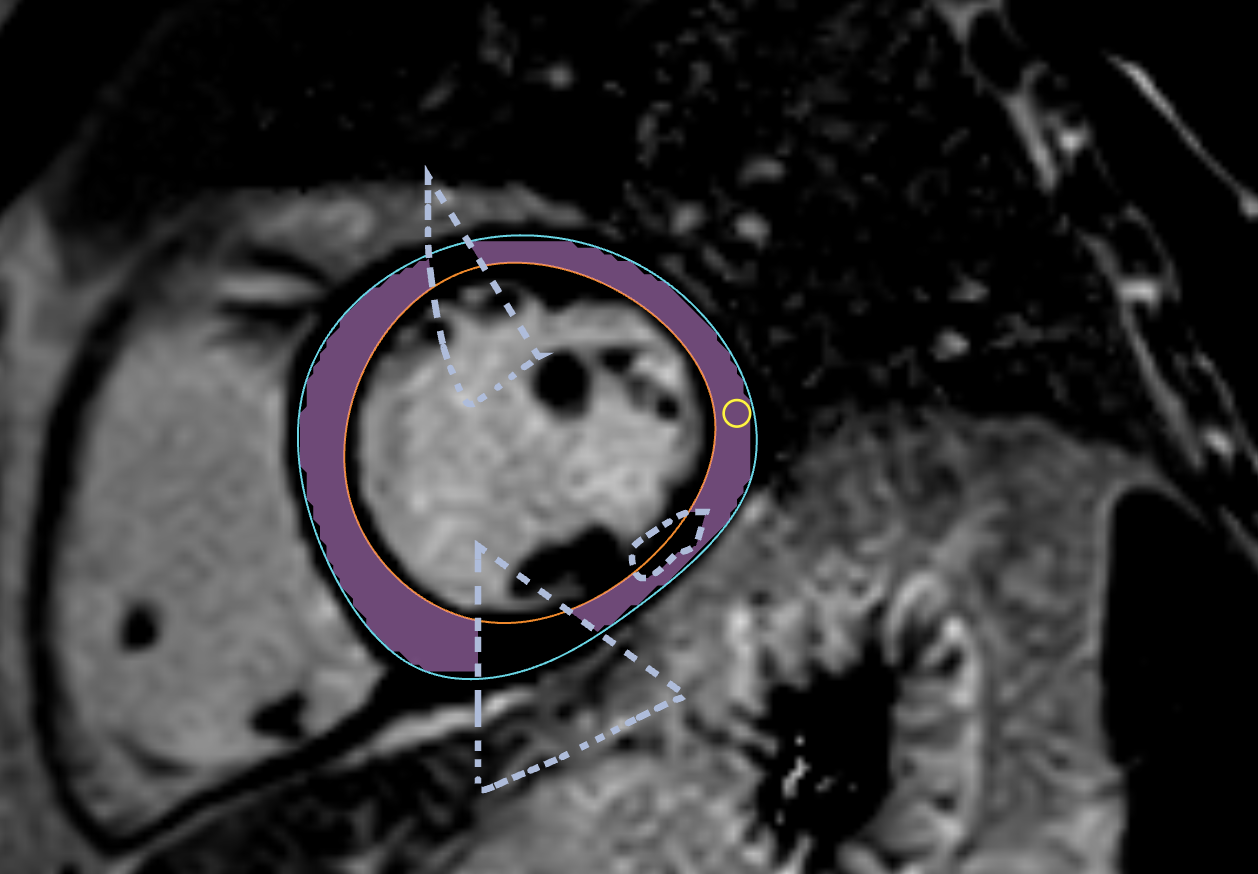 image-20250110152811867
